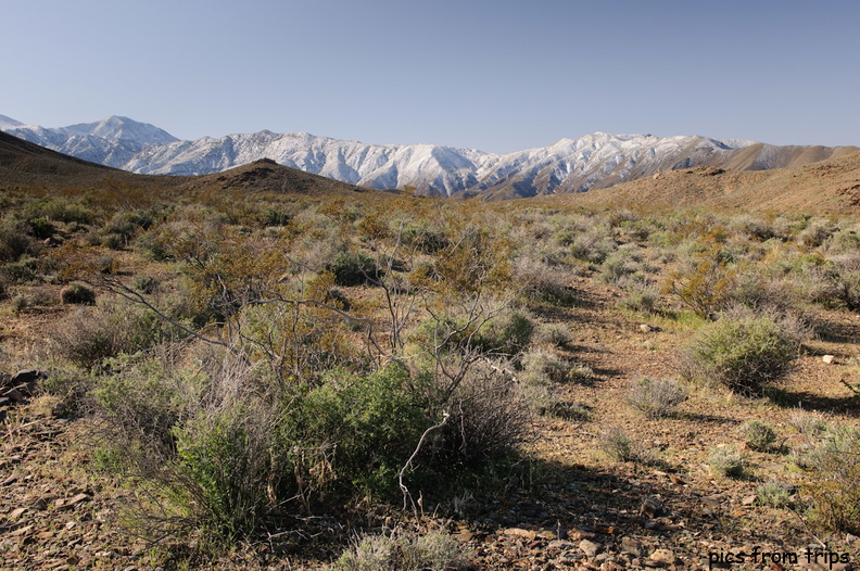 Snowy peaks over the desert2010d11c093.jpg